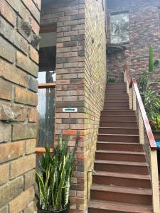 棕榈滩Palm beach Sydney, Modern home with water view的相册照片