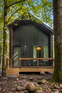 una cabaña en el bosque con un banco delante en Roamstead Smoky Mountains en Cosby