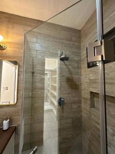 プエルト・モレロスにあるCasa Pelicanoの浴室のガラス扉付きシャワー