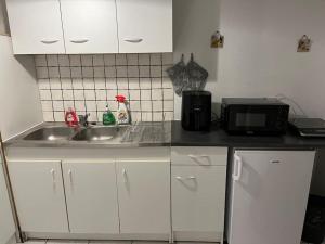 a kitchen counter with a sink and a microwave at Joli Appartement centre Nevers in Nevers