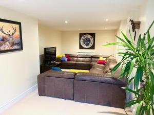 a brown leather couch in a living room with a plant at Riverview in Colchester