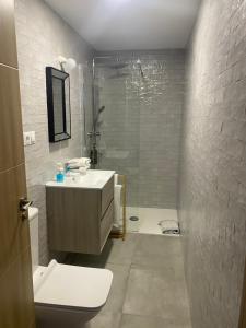 ein Bad mit einem Waschbecken, einem WC und einer Dusche in der Unterkunft El nido del Chorro in Málaga
