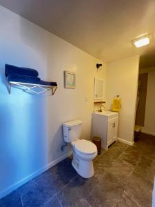 a bathroom with a white toilet and a sink at LittleBettysCrashPad in Torrance