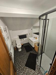 een kleine badkamer met een toilet en een wastafel bij Appartement Luna in Dinant