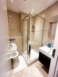 倫敦的住宿－Drummond rooms，带淋浴、卫生间和盥洗盆的浴室