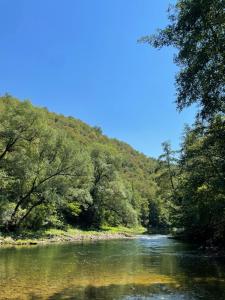 un río con árboles al lado de una montaña en Vikendica u prirodi na ranču, en Zolaći
