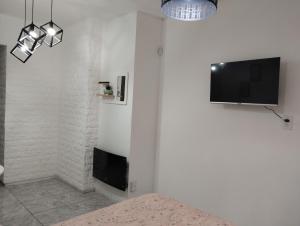 een woonkamer met een tv en een bed bij Mendoza Estudio Urbano in Mendoza