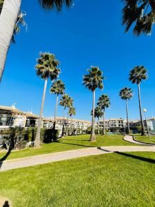 Taman di luar Invited to Albufeira