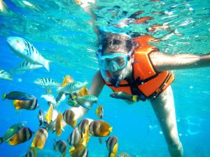 a person swimming in the water with fish at JUNLYN APARTELLE in Panglao Island