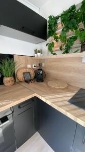 a kitchen with a wooden counter top with potted plants at T1 luxe à 2 minutes de la plage in Les Trois-Îlets