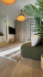 a living room with a green couch and a television at T1 luxe à 2 minutes de la plage in Les Trois-Îlets