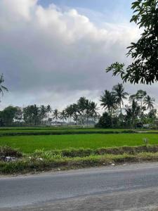 Foto dalla galleria di Kallista Villas Kalibaru a Kalibaru