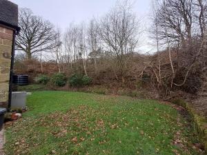 a yard with a green lawn with trees in the background at Orchard Cottage in Bradley in the Moors