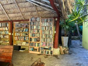 uma livraria com várias prateleiras cheias de livros em Coco Hotel and Hostel em Sosúa