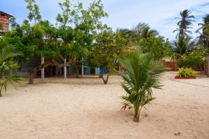 a sandy beach with trees and a building at Mar Aberto_chale 3 in Barroquinha
