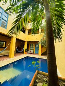 dom z palmą i basenem w obiekcie CASA ENCANTADA w mieście Santa Marta