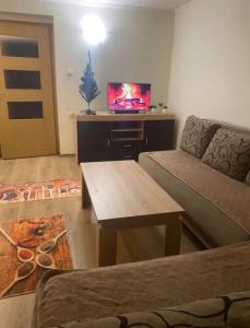 ein Wohnzimmer mit einem Sofa, einem Tisch und einem TV in der Unterkunft Bosna Hersek Tarihinde Eşsiz Bir Deneyim in Sarajevo