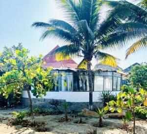 ein Haus mit einer Palme davor in der Unterkunft Sand Castle Ocean Suites in Zorritos