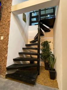 a black spiral staircase in a building with plants at Manipa Loft in Cafayate