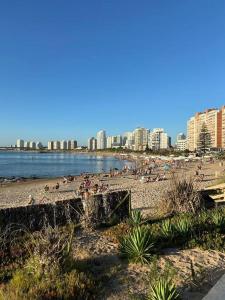 a beach with a bunch of people on it at Apartamento a pasos de todo. in Punta del Este +26 photos