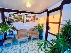 a living room with two chairs and plants at Seaside Hostel Malapascua in Malapascua Island