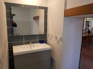 un bagno con lavandino e specchio di Gîte cosy et indépendant avec terrasse, jardin clos, internet 4G, tout compris - Bengy-sur-Craon - FR-1-586-34 a Bengy-sur-Craon