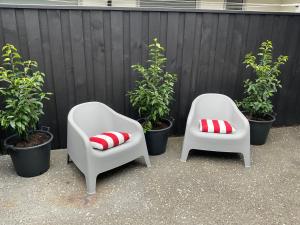 two white chairs with red pillows sitting next to plants at Pegasus Amberley, Entire Studio in Waikuku +2 photos