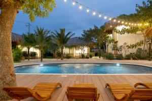 a swimming pool with chairs and a house at OLIVE Camping in La Gi