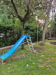 un tobogán azul delante de un árbol en Casa Quinta 2000 M² en centro de Francisco Álvarez en Francisco Álvarez