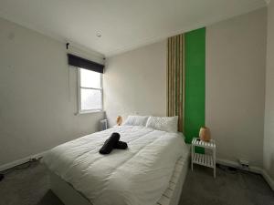 a bedroom with a white bed with a green wall at Dynamic 2 Bedroom home close to city buzz Darling St 2 E-Bikes Included in Sydney