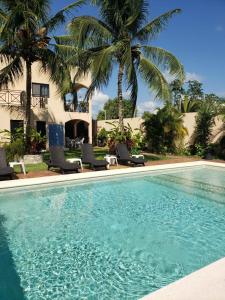 una piscina con sillas y palmeras frente a una casa en Coral Island Suites Cozumel en Cozumel