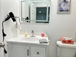 een witte badkamer met een wastafel en een spiegel bij Getaway / Privacy Suite B in Lutz