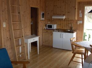 ガイランゲルにあるMaråk Hytteutleigeの木製の壁のキッチン、はしご付きのキッチン