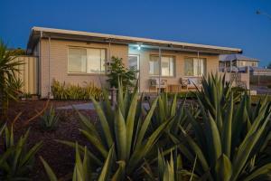 a house with plants in front of it at OCEA84 - Quinns Beach Shack: Ocean Views in Quinns Rocks