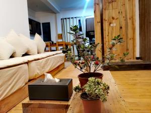 a living room with couches and potted plants on a table at shalu's residence in Kathmandu