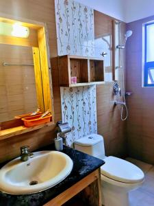 a bathroom with a sink and a toilet and a mirror at shalu's residence in Kathmandu +36 photos