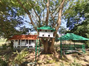 a bird house on a tree in front of a house at Ranjo's Farm house in Chāmrājnagar