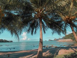 two palm trees on a beach near the water at วาเลนไทน์บังกะโล (Valentine Bungalow) in Ban Nikhom Soi