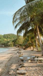 Ein Strand mit Bänken und einer Palme in der Unterkunft วาเลนไทน์บังกะโล (Valentine Bungalow) in Ban Nikhom Soi