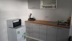 a kitchen with a microwave on top of a refrigerator at Rejviz apartmany in Zlaté Hory