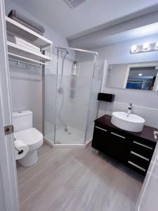 a bathroom with a shower and a toilet and a sink at Newly renovated Elephant Suite two rooms close to banff and business center in Calgary