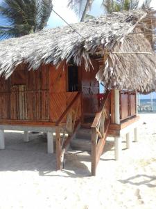 una cabaña con techo de paja en la playa en Cabañas Tubasenika, en Mamartupo