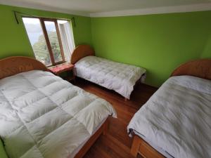 two beds in a green room with a window at Hostal Isla del Sol in Comunidad Yumani