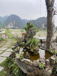 a garden with a pond with plants in it at Tam Coc Mountain View Homestay in Ninh Binh
