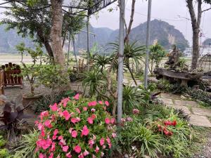 a garden with pink flowers and plants at Tam Coc Mountain View Homestay in Ninh Binh
