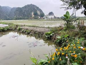 a garden with flowers and a body of water at Tam Coc Mountain View Homestay in Ninh Binh