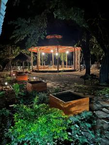 a garden at night with a gazebo with lights at The Grand Mango in El Gigante