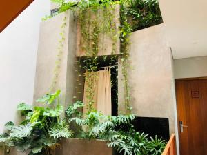 um quarto com uma parede com plantas em Shelter Stay Da Nang em Da Nang