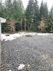 a large gravel parking lot with trees and snow at Nature Lovers’ Paradise in Nanaimo