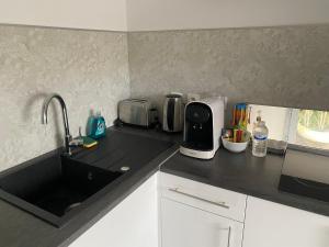 a kitchen counter with a sink and a microwave at Appart COSY proche METZ 